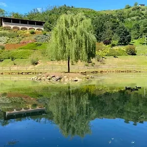  Alloggio per agriturismo Grammelot Italia
